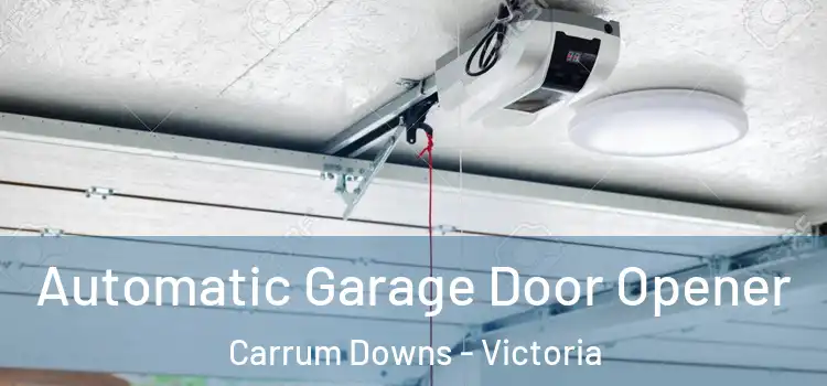 Automatic Garage Door Opener Carrum Downs - Victoria