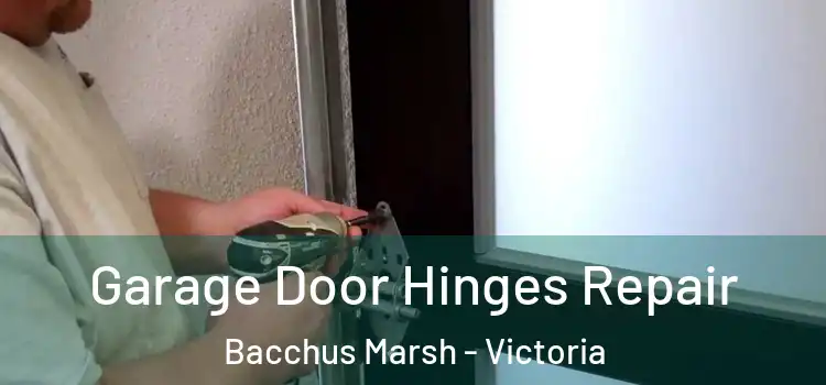 Garage Door Hinges Repair Bacchus Marsh - Victoria