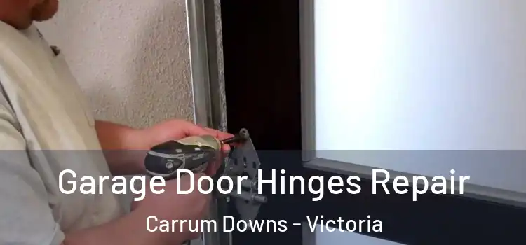 Garage Door Hinges Repair Carrum Downs - Victoria