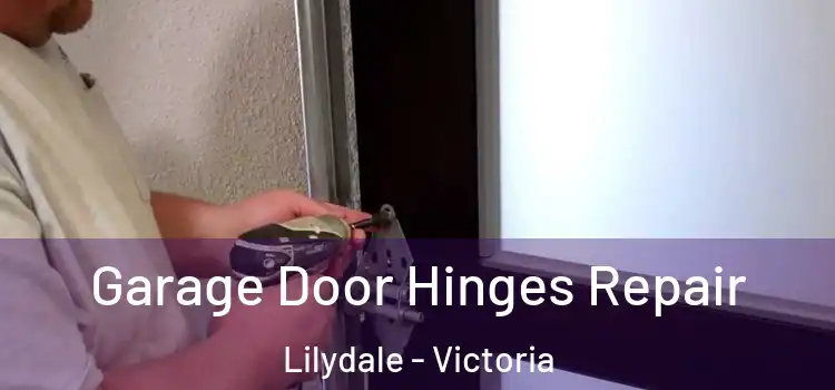 Garage Door Hinges Repair Lilydale - Victoria