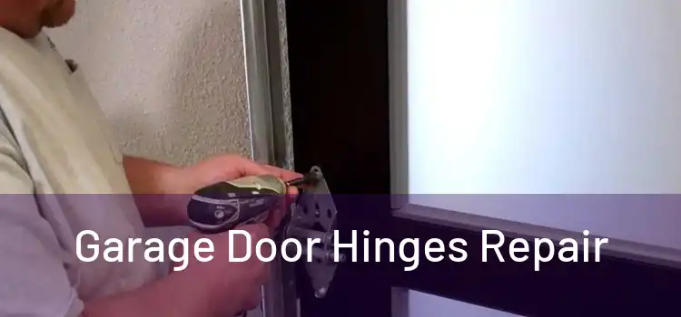 Garage Door Hinges Repair 