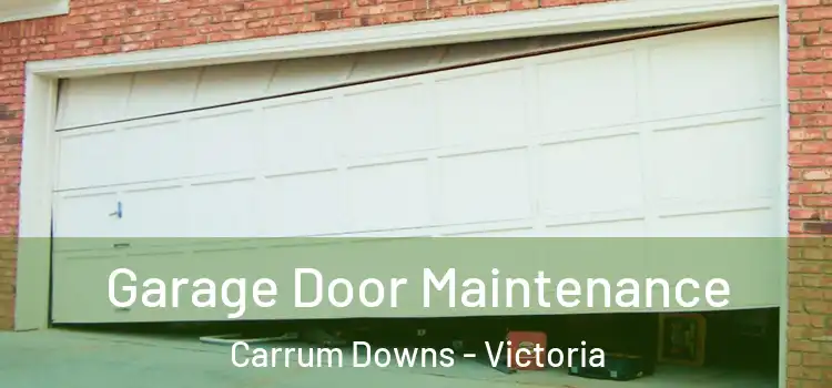 Garage Door Maintenance Carrum Downs - Victoria