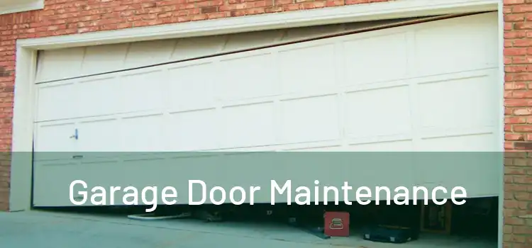 Garage Door Maintenance 