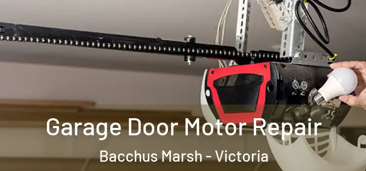 Garage Door Motor Repair Bacchus Marsh - Victoria