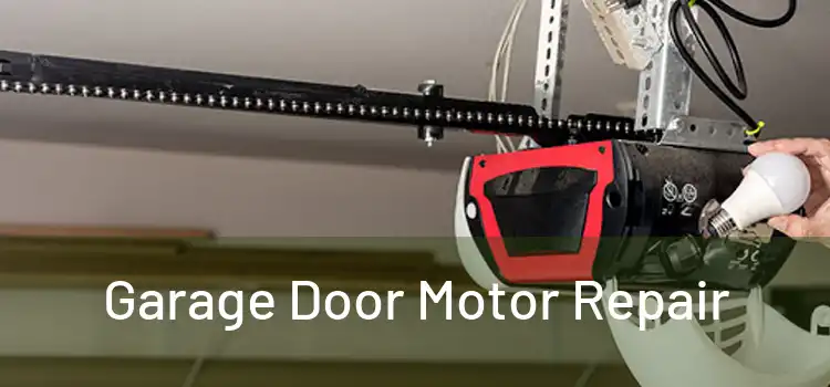 Garage Door Motor Repair 