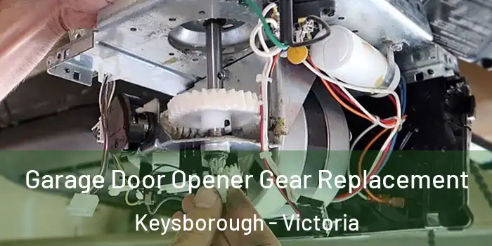 Garage Door Opener Gear Replacement Keysborough - Victoria