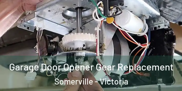 Garage Door Opener Gear Replacement Somerville - Victoria