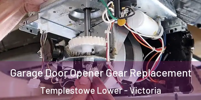 Garage Door Opener Gear Replacement Templestowe Lower - Victoria