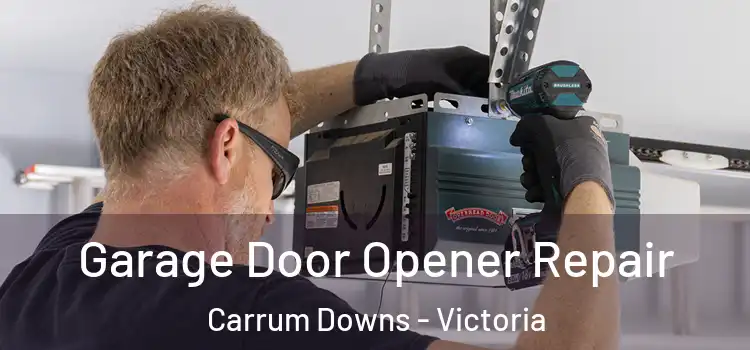 Garage Door Opener Repair Carrum Downs - Victoria