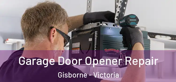 Garage Door Opener Repair Gisborne - Victoria