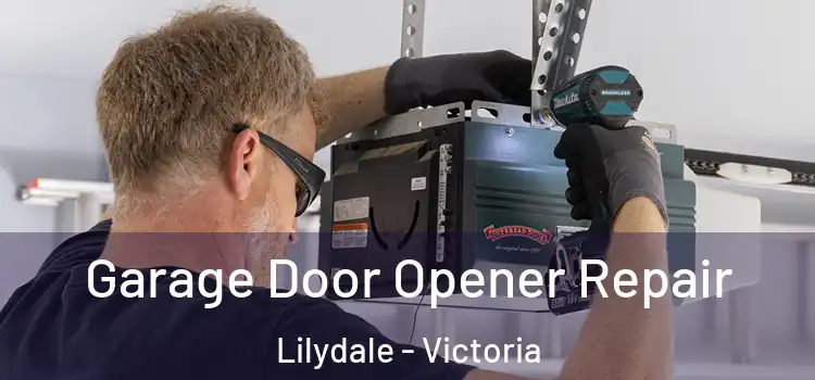 Garage Door Opener Repair Lilydale - Victoria