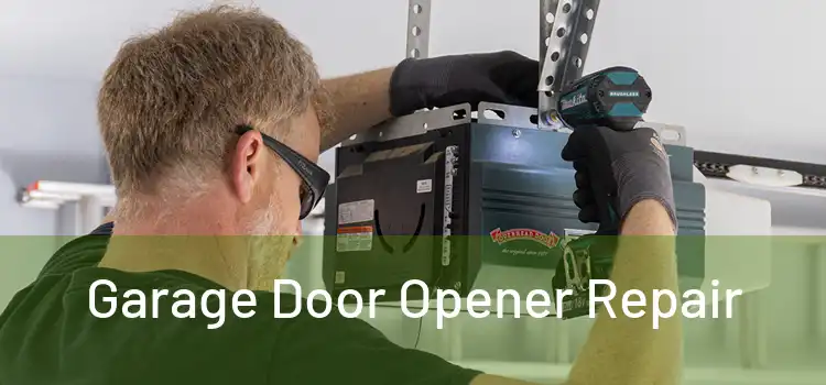 Garage Door Opener Repair 