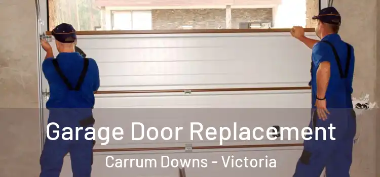 Garage Door Replacement Carrum Downs - Victoria