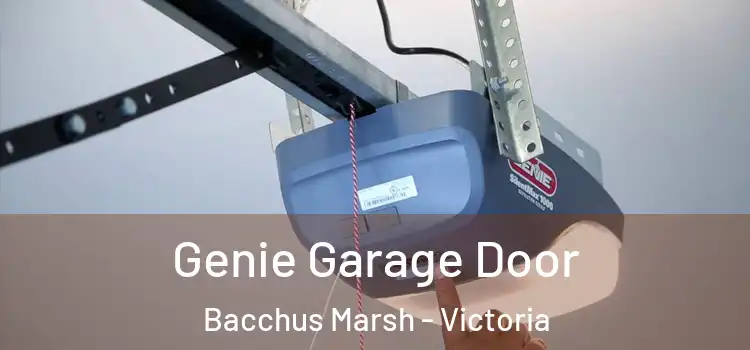 Genie Garage Door Bacchus Marsh - Victoria