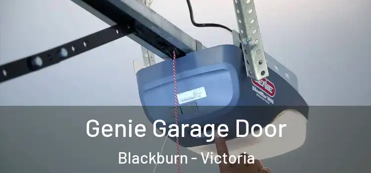 Genie Garage Door Blackburn - Victoria