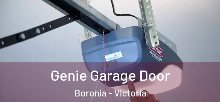 Genie Garage Door Boronia - Victoria