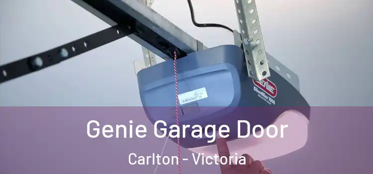 Genie Garage Door Carlton - Victoria