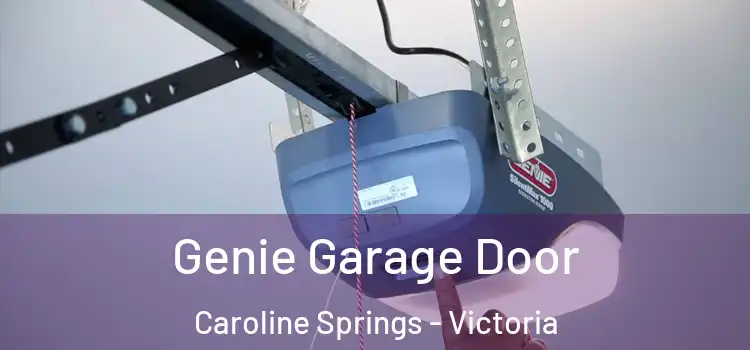 Genie Garage Door Caroline Springs - Victoria