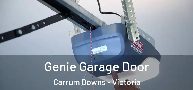 Genie Garage Door Carrum Downs - Victoria