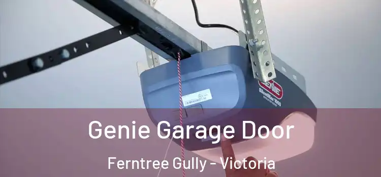 Genie Garage Door Ferntree Gully - Victoria