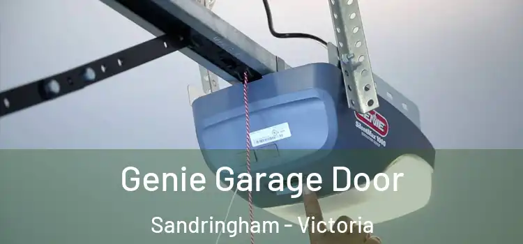 Genie Garage Door Sandringham - Victoria