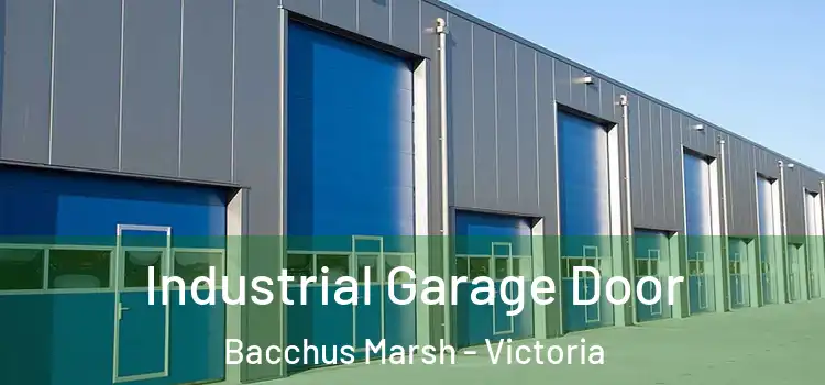 Industrial Garage Door Bacchus Marsh - Victoria