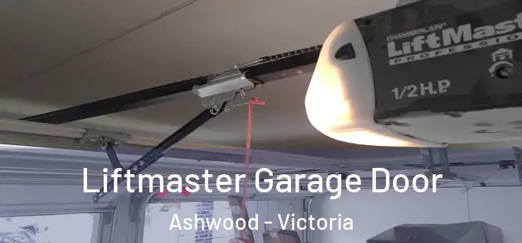 Liftmaster Garage Door Ashwood - Victoria