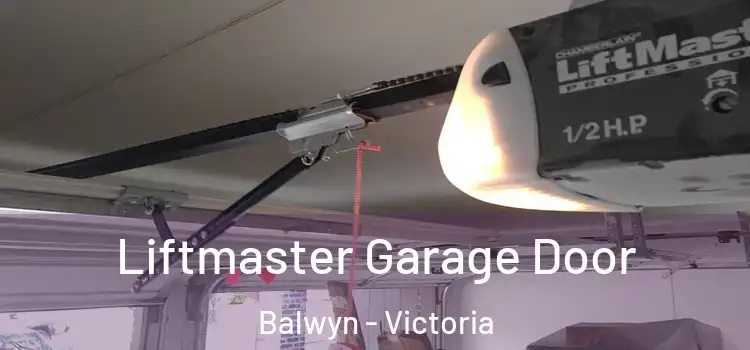 Liftmaster Garage Door Balwyn - Victoria