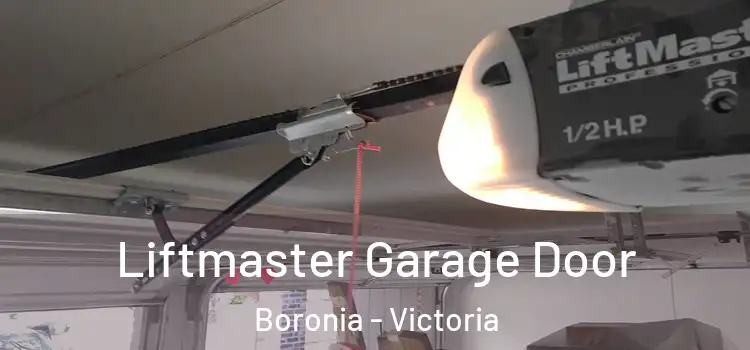 Liftmaster Garage Door Boronia - Victoria