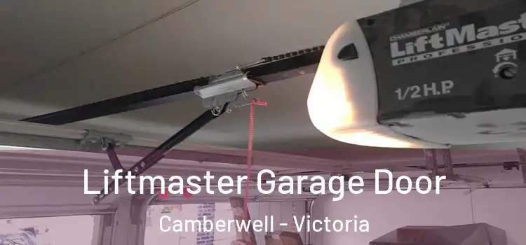 Liftmaster Garage Door Camberwell - Victoria