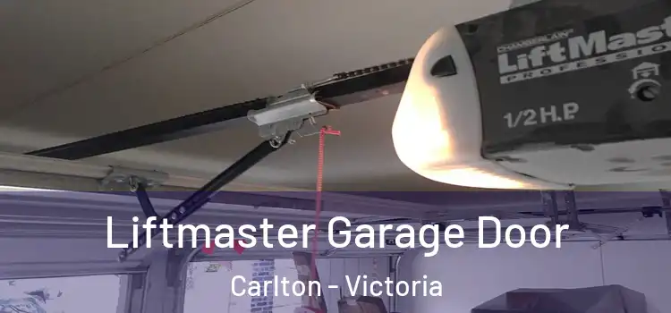 Liftmaster Garage Door Carlton - Victoria