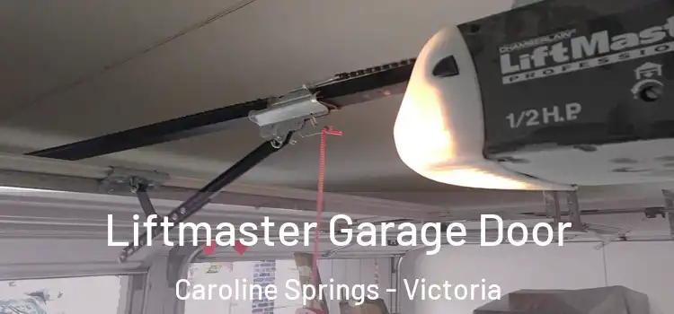 Liftmaster Garage Door Caroline Springs - Victoria