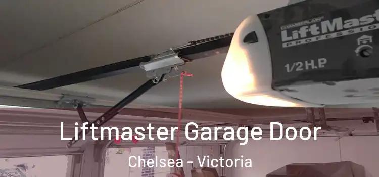 Liftmaster Garage Door Chelsea - Victoria