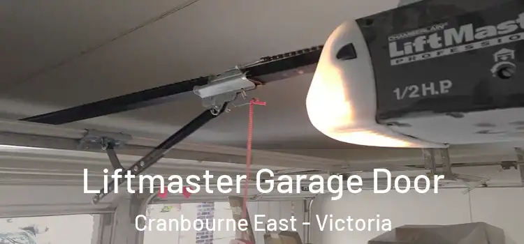 Liftmaster Garage Door Cranbourne East - Victoria