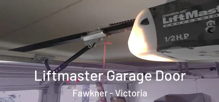 Liftmaster Garage Door Fawkner - Victoria