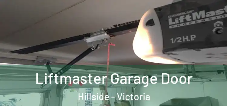 Liftmaster Garage Door Hillside - Victoria