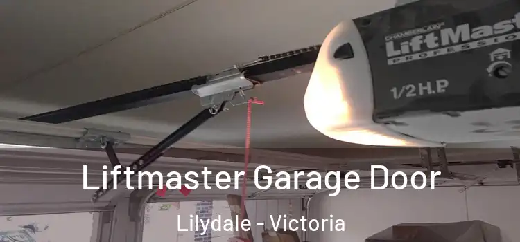 Liftmaster Garage Door Lilydale - Victoria