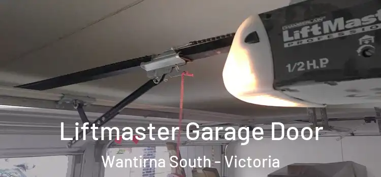 Liftmaster Garage Door Wantirna South - Victoria