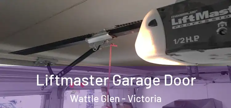 Liftmaster Garage Door Wattle Glen - Victoria