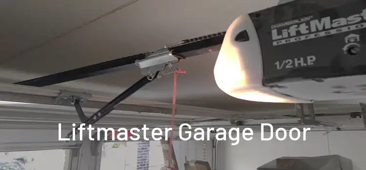 Liftmaster Garage Door 