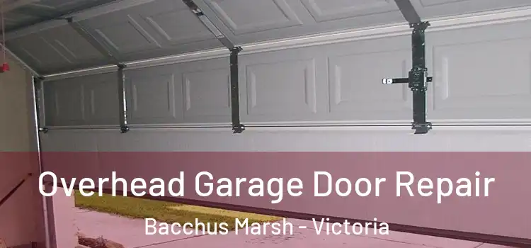 Overhead Garage Door Repair Bacchus Marsh - Victoria