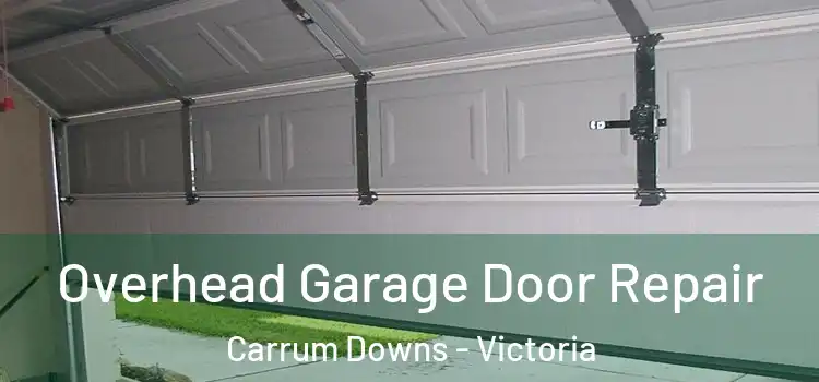 Overhead Garage Door Repair Carrum Downs - Victoria