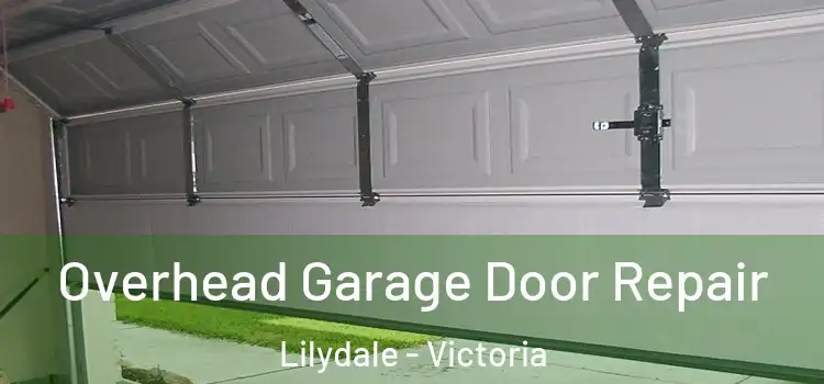 Overhead Garage Door Repair Lilydale - Victoria