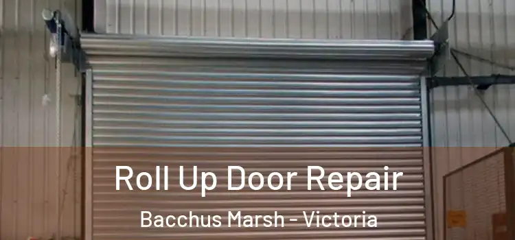 Roll Up Door Repair Bacchus Marsh - Victoria