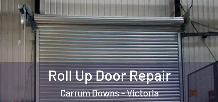 Roll Up Door Repair Carrum Downs - Victoria